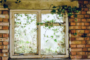 Kathy Ellis Window to the garden