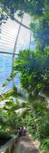 Anne Molyneux "Kew Gardens Palm House (pano)"