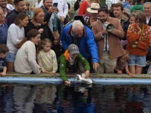 Adrian-Neville-Egg-Boat-Race-25 (1)