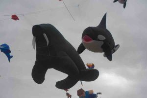 Alec-Brown-0863E (1)