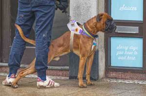 Alec-Brown-1 (1) (1)