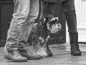 Alec-Brown-2 (1) (1)