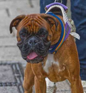 Alec-Brown-3 (1) (1)