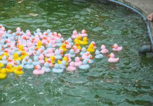 Alec-Brown-Ducks-4