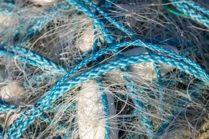 Anne-Molyneux-20250618-APG-Sizewell-Beach-0Z4A8381