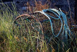 Anne-Molyneux-20250618-APG-Sizewell-Beach-0Z4A8395