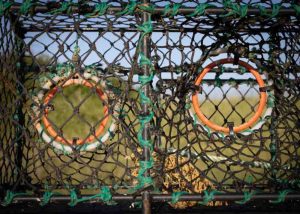 Anne-Molyneux-20250618-APG-Sizewell-Beach-0Z4A8420
