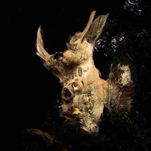 Anne-Molyneux-Staverton-Thicks