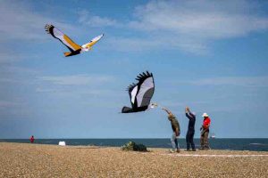 Anne-Molyneux-20260816-Aldeburgh-Carnival-0Z4A6183