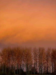 Anne-Molyneux Sunset-Eastbridge