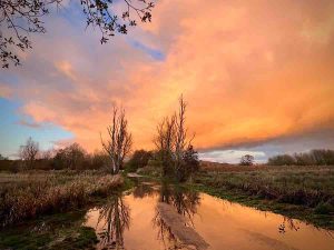 Anne-Molyneux Sunset-Minsmere 