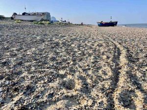 George-Kardan-IMG 0296