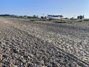 George-Kardan-IMG 0301