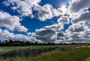 John-Prodger-Aldeburgh-Marsh-2