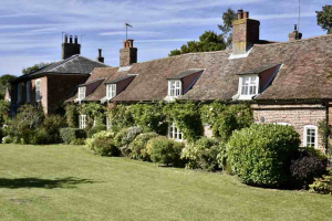 Kathryn Ellis Untitled