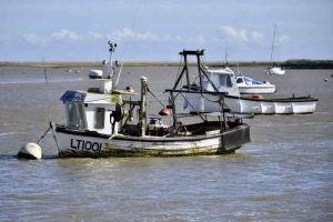 Kathryn Ellis Untitled