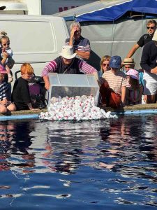 Kathy-Ellis-16-08-2025-16-30-06 (1)