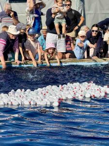 Kathy-Ellis-16-08-2025-16-30-32 (1)