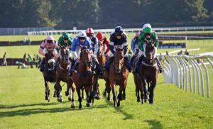 Kathy-Ellis-Fontwell-Park- (1)