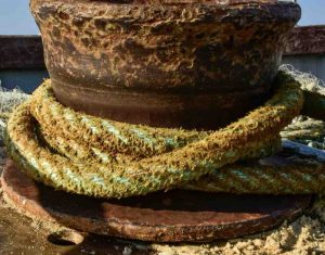 Kathy-Ellis-Photo-18-06-2025-18-27-19