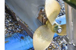 Kathy-Ellis- DSC8719