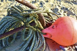 Kathy-Ellis- DSC8741