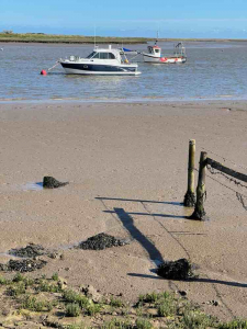 Lynda Aldred Orford Shadows