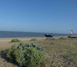 Moira-Andrew-Photo-18-06-2025-18-25-43