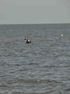 Moira-Andrew-Photo-18-06-2025-18-50-31-1