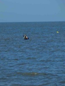 Moira-Andrew-Photo-18-06-2025-18-50-31