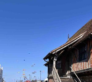 MoiraAndrewIMG 1059 (1)