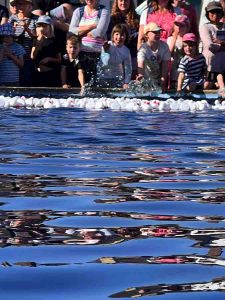 MoiraAndrewIMG 1110 (1)