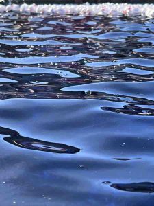 MoiraAndrewIMG 1116 (1)