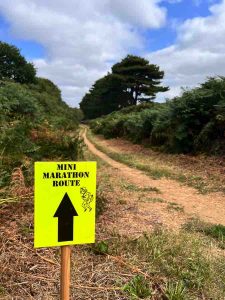 MoiraAndrewIMG 1144 (1) (1)