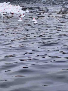 MoiraAndrewIMG 1205 (1)