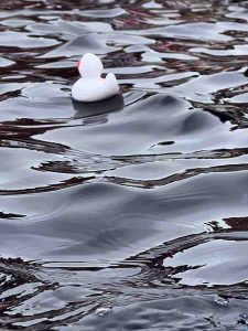 MoiraAndrewSundayRace-2 (1)