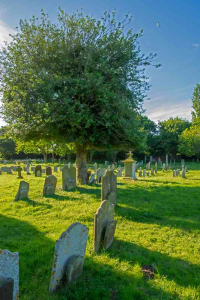 Neil Goodchild Untitled