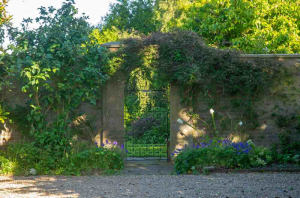 Neil Goodchild Untitled