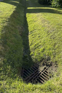 Nuala Simpson Orford Walk