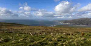 Nuala-Simpson-APG-AGM-2026-4-2