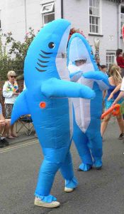 Peter-Crabb-Dolphins-1 (1) (1)