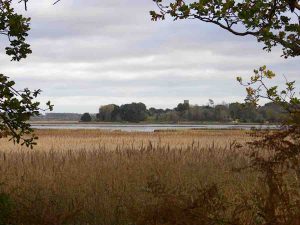 Peter-Crabb-Iken-Church-Landscape