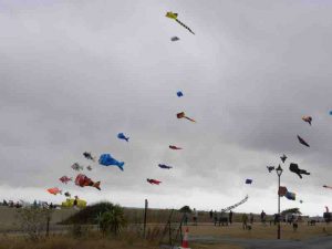 Peter-Crabb-Saturday-Kites-1