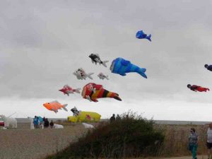 2026-8b Saturday Kites