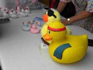 2026-8c Duck Race