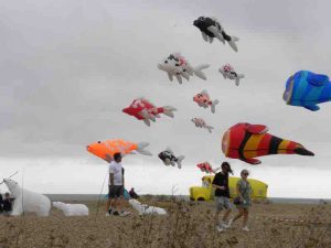 Peter-Crabb-Saturday-kites-3