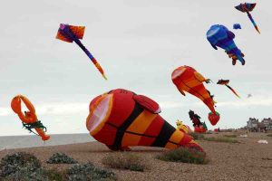 Richard-Hudson-IMG 9286 (1)