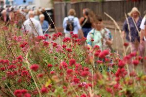 Richard-Hudson-IMG 9315 (1) (1)