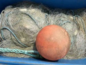 Robin-Cooper-2-Photo-14-07-2025-13-48-17