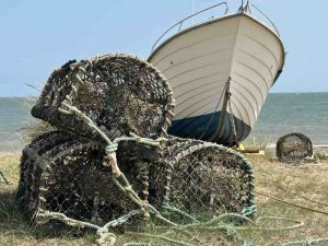 Robin-Cooper-3-Photo-14-07-2025-13-46-55